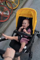 Bugaboo Bee 6 Review, Bugaboo Stroller Review